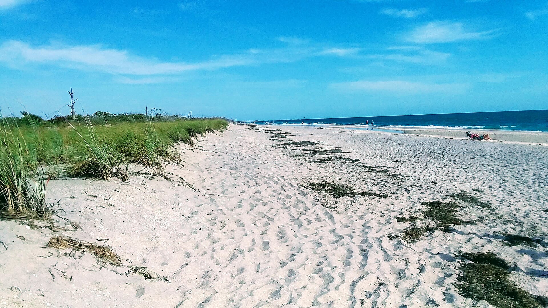 Venice vs Nokomis & Casey Key for Families