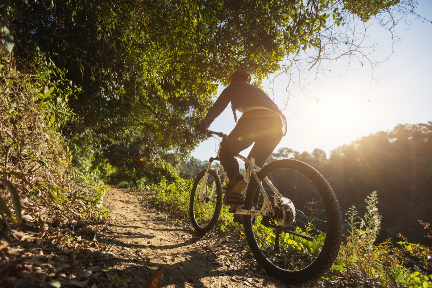 Cape Haze Pioneer Trail — Cape Haze